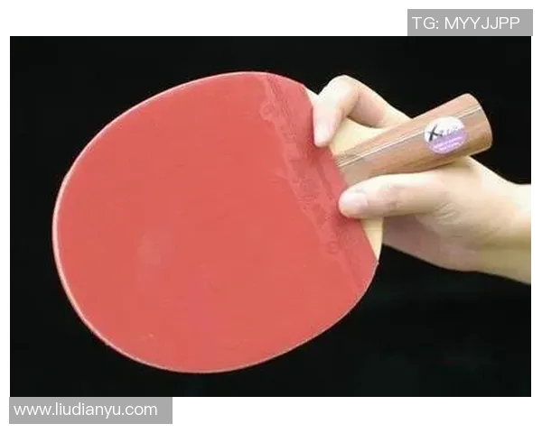 乒乓球新手必看灵活性训练技巧与实用入门指南