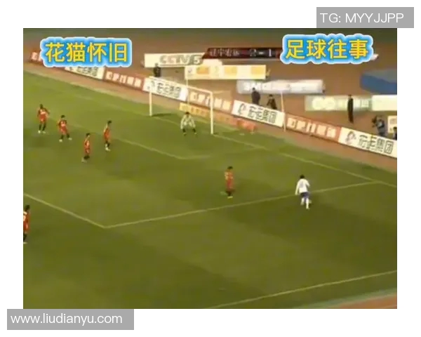 2011年鲁能对阵辽足精彩回顾与赛季分析